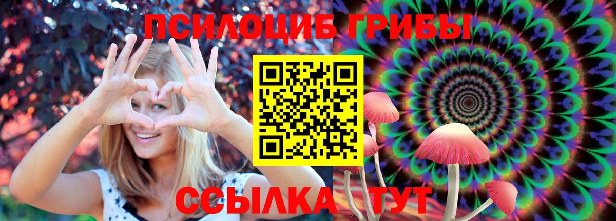 Галлюциногенные грибы MAGIC MUSHROOMS Нововоронеж